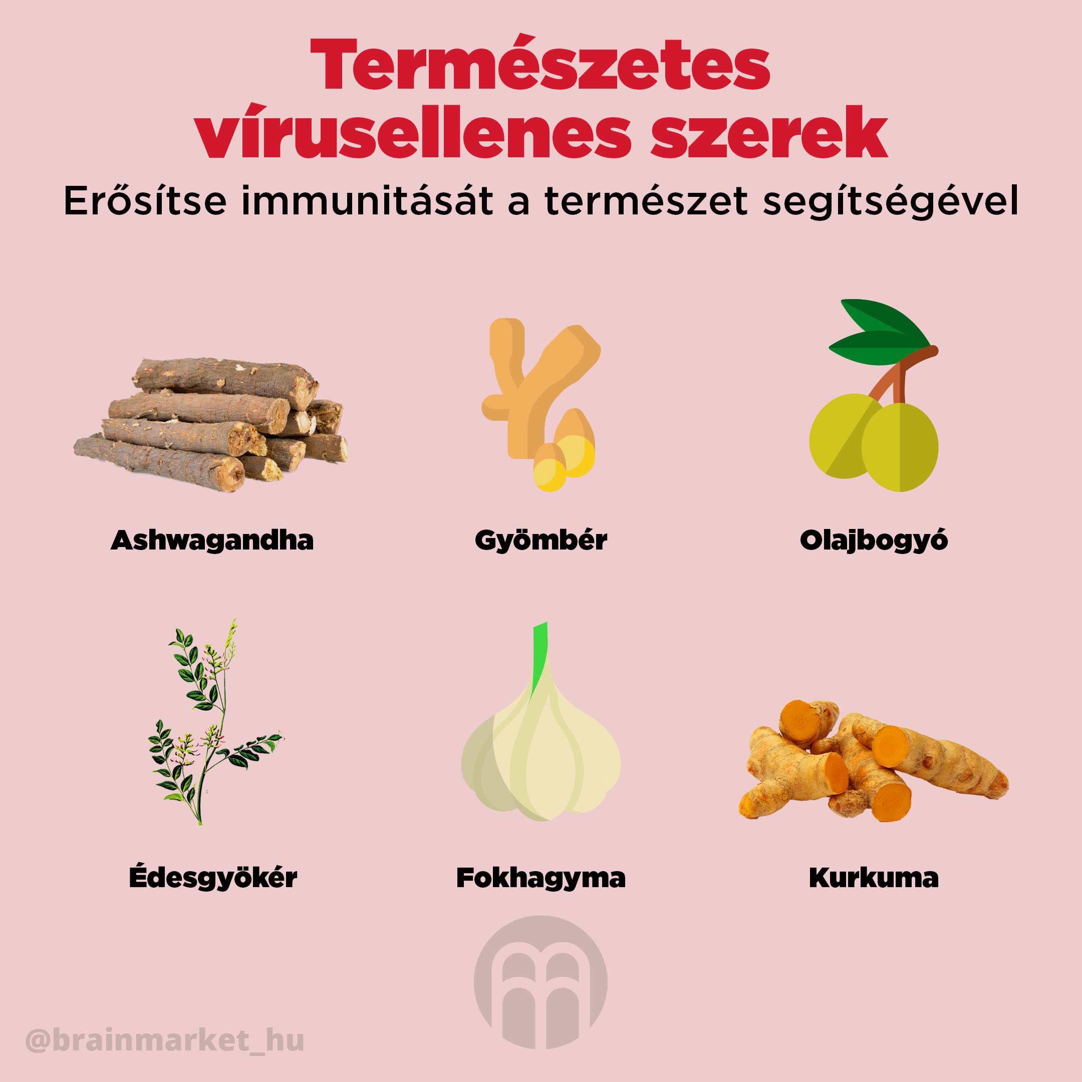 prirodni_antivirotika_infografika_brainmarket_HU